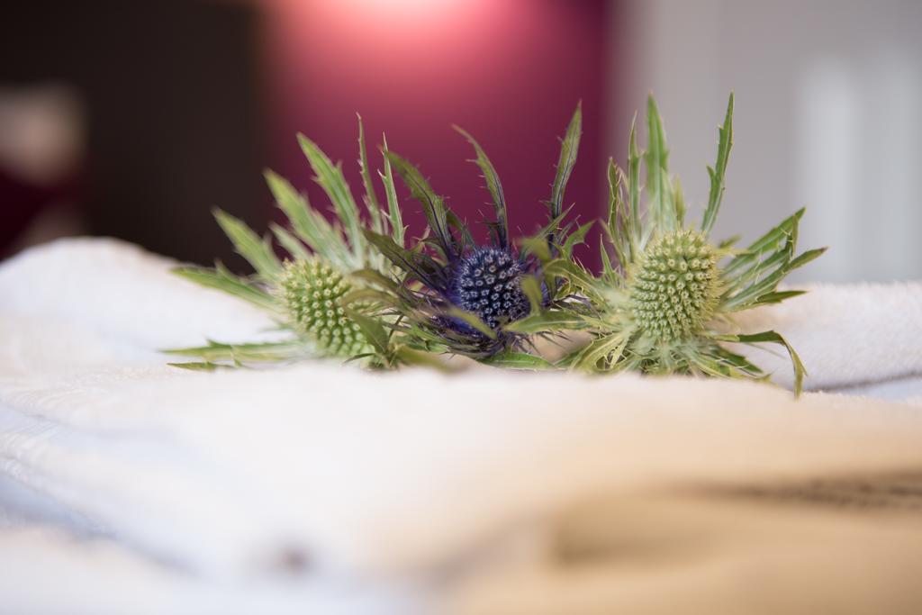 The Spires Serviced Apartments Edinburgh Værelse billede